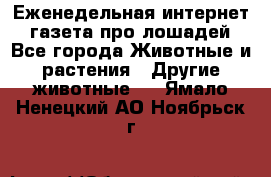 Еженедельная интернет - газета про лошадей - Все города Животные и растения » Другие животные   . Ямало-Ненецкий АО,Ноябрьск г.